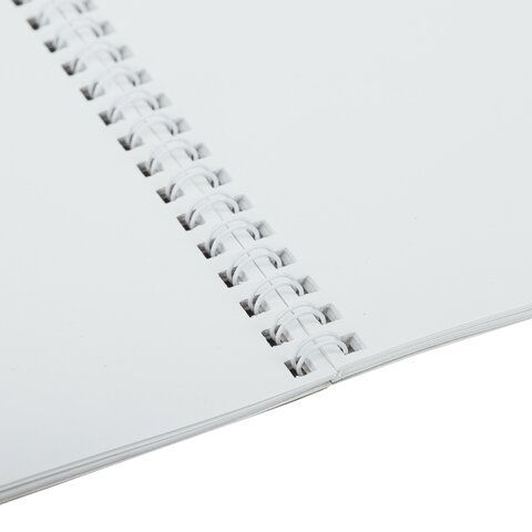 Альбом для рисования 24л А4 гребень обложка картон BRAUBERG Питомцы 1/10/40