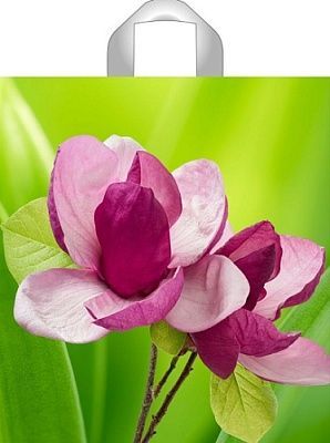 Пакет с петлевой ручкой (40х44)-75 Цветок Тико 50/300 Пакет с петлевой ручкой (40х44)-75 Цветок Тико 50/300