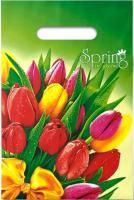 Пакет с вырубной ручкой (20х30)-30 Весна 100/2000