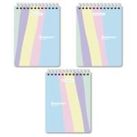 Блокнот 60л А6 110х145мм клетка гребень BRAUBERG Pastel 1/6/72