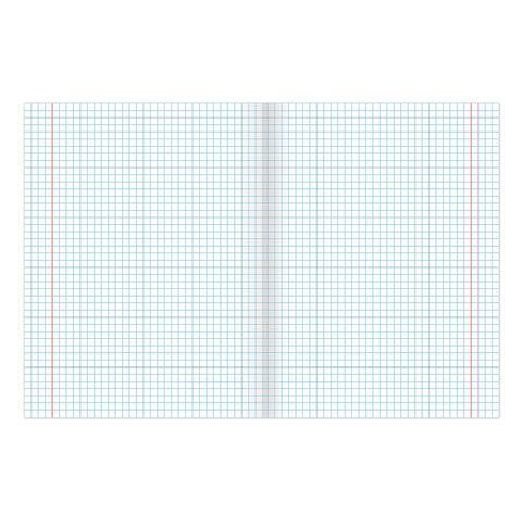 Тетрадь 48л А5 клетка Best Friends BRAUBERG 10/100