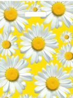 Пакет с вырубной ручкой (34х45)-30 Солнечные ромашки Тико 50/800 