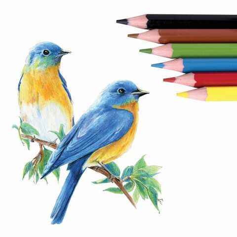 Карандаши цветные 06цв пластиковые, классические, грифель мягкий 3 мм ЮНЛАНДИЯ Домики 1/24