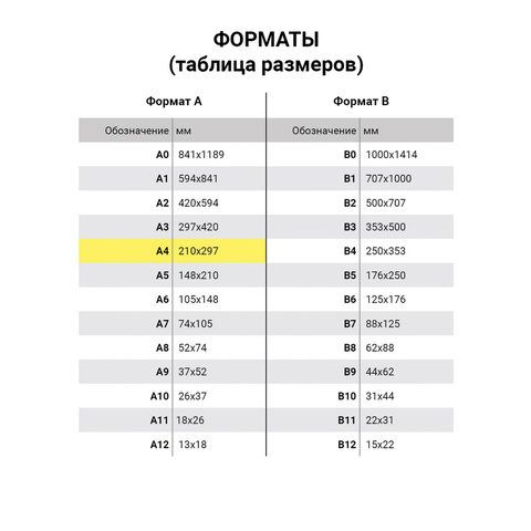 Тетрадь 96л А4 клетка бумвинил 60 г/м2 офсет №2 эконом зеленый STAFF 1/20