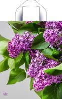 Пакет с петлевой ручкой (28х35)-55 Сиреневый цвет Тико 50/700 Пакет с петлевой ручкой (28х35)-55 Сиреневый цвет Тико 50/700