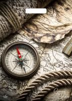 Пакет с вырубной ручкой (31,5х43)-50 Грэй Глосс Карта Тико 50/500