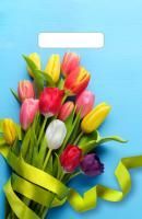 Пакет с вырубной ручкой (20х30)-30 Тюльпаны на голубом 100/3000